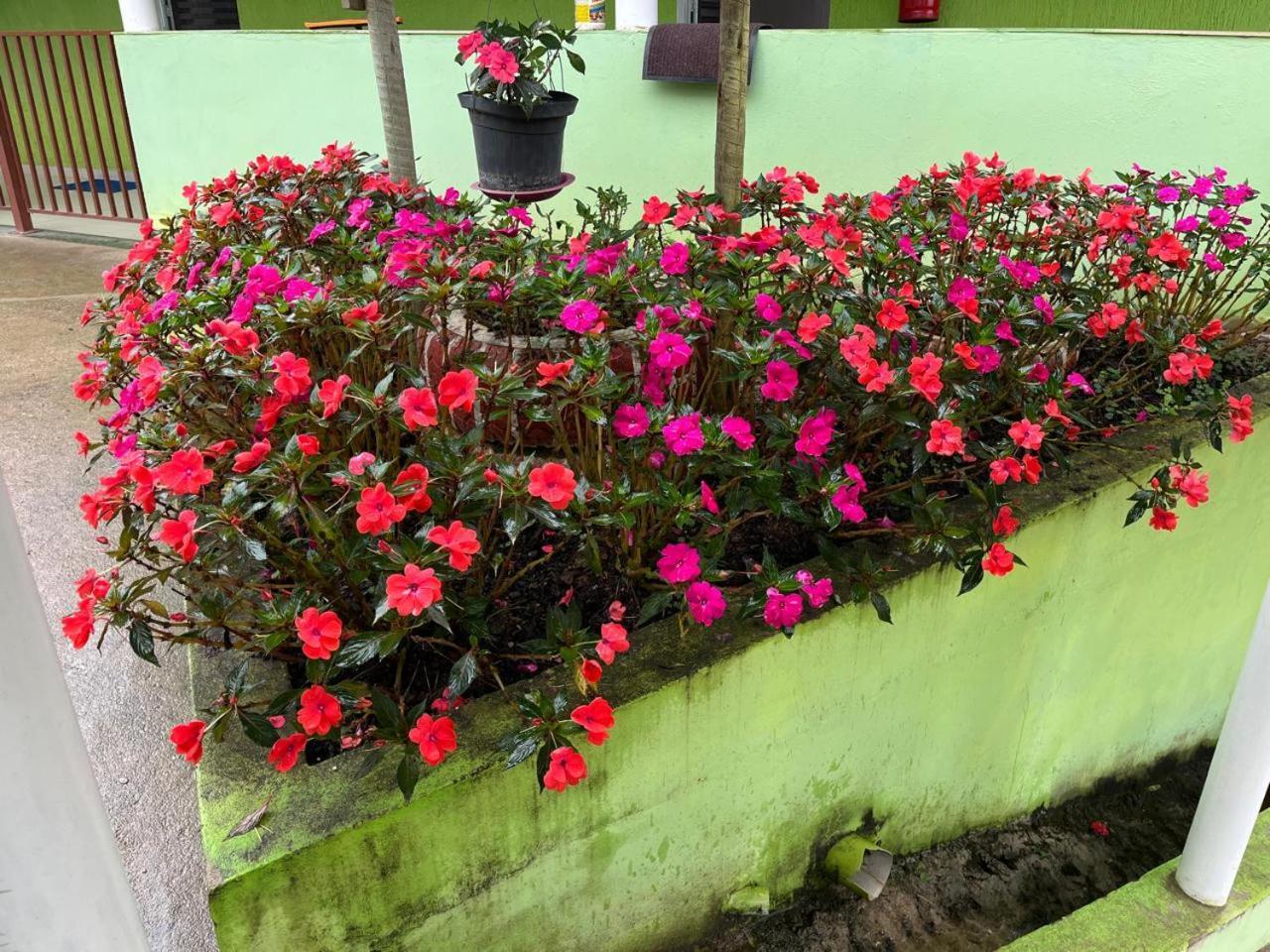 Pesqueiro Restaurante E Pousada Pingo De Ouro Piedade  Zewnętrze zdjęcie